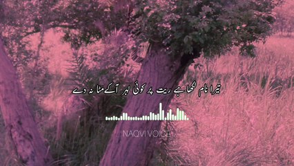 Mere Dil Ki Rakh Kured Mat Ise Muskura Ke Hawa Na De | मिरे दिल की राख कुरेद मत इसे मुस्कुरा के हवा न दे | Naqvi Voice