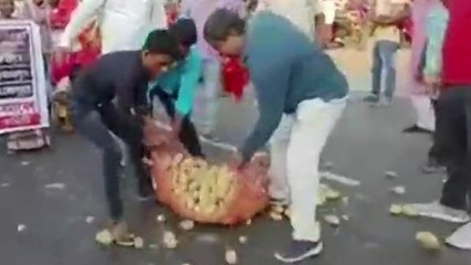 গাজোল: জাতীয় সড়কে বস্তা-বস্তা আলু ফেলে কেন বিক্ষোভ চলছে দেখুন ভিডিও