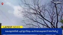 ചൂട് കടുക്കും: 3 ജില്ലകളിൽ സൂര്യതാപ മുന്നറിയിപ്പ്