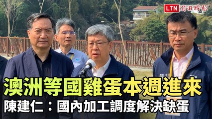 澳洲等國雞蛋本週進來 陳建仁：國內加工調度解決缺蛋