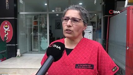 Uzmanından şap varyantı uyarısı: "Çok hızlı bir şekilde bulaşıyor"