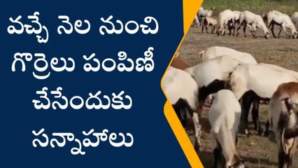 పెద్దపల్లి: గొల్ల కురుమలకు గుడ్ న్యూస్.. త్వరలోనే..?