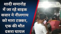 पश्चिमी चंपारण: नीलगाय से टक्कर में एक बाइक सवार की मौत, दूसरा गंभीर रूप से घायल