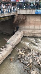 ÇAYA DÜŞEN KÖPEĞİ İTFAİYE EKİPLERİ KURTARDI