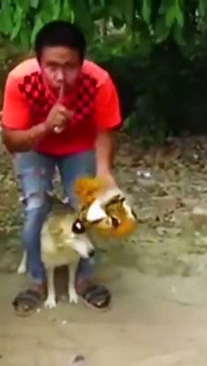 Funny Video Episode 03 _ Please Like Comment Share _ Please Subscribe My Channel _ King Shahapur Tv