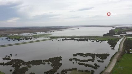 Kızılırmak Deltası eski sulak haline döndü