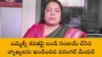 వరంగల్ ఈస్ట్: ఒక వార్డు సభ్యుడు కూడా ఇలాంటి మాటలు మాట్లాడడు.. కానీ..!