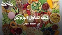 كيف تتناول البروتين في النظام النباتي؟