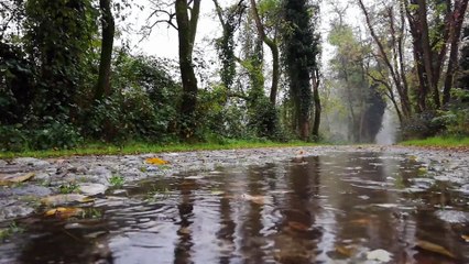 Water Sound || Waterfall ||White Noise