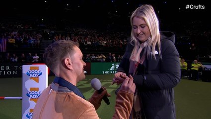 Puppy love: Moment man dressed up as a dog pops the question at Crufts