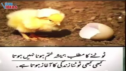 Golden words| Islamic quotes in Urdu| Urdu Quotes about life