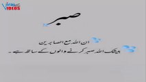 Beautiful Islamic quotes|Islamic Urdu Quotes|Whatsapp Islamic status