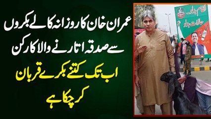 Imran Khan Ka Daily Black Bakron Se Sadqa Utarne Wala Worker - Ab Tak Kitne Bakre Qurban Kar Chuka Hai