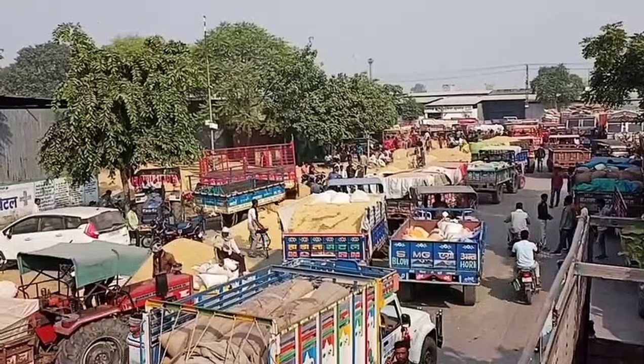 सरसों का न्यूनतम समर्थन मूल्य 5450 रुपए प्रति क...