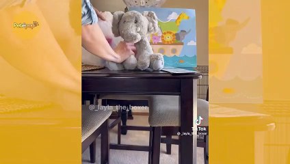 Cães protagonizam atuação digna de Oscar em vídeo hilário