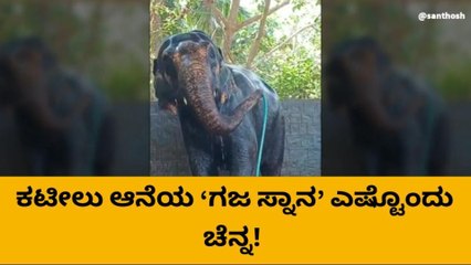 ಮಂಗಳೂರು :ಕಟೀಲು ‘ಗಜ ಸ್ನಾನ’ ಎಷ್ಟು ಚಂದ