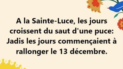 12)  A la Sainte-Luce, les jours croissent du saut d'une puce. EXPRESSION, PROVERBE Français