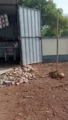 कलेक्टोरेट के समीप अवैध घुमटियों पर चला नपा का बुल्डोजर