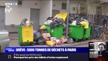 À Paris, la grève des éboueurs exaspère les riverains, qui redoutent un risque sanitaire