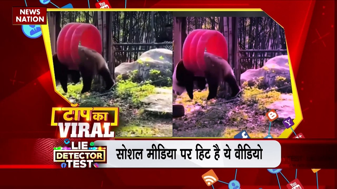 TOP KA VIRAL : सोशल मीडिया पर TOP KA VIRAL