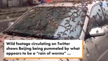 viral clip showed the area apparently being showered with little worms, which were splattered all over cars