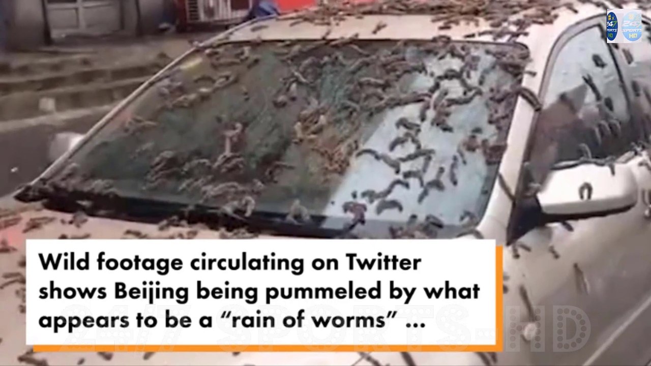 viral clip showed the area apparently being showered with little worms ...