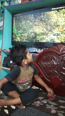 watching Discovery channel #shorts #viral #trending #Shortsfeed