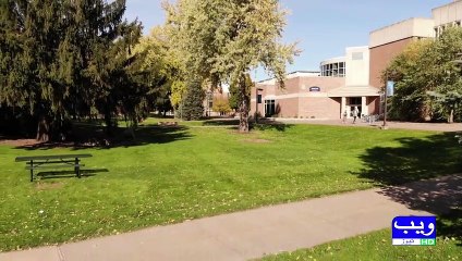 GarYaan Petrol Ki Bajay Kis Chiz Per Chalain Gi I Mahireen Ne bada Dawa Kardiya Urdu/Hindi