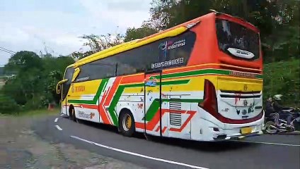 TELOLET BASURI MENGULAR Bus Nur Shinta Abadi, Bus Jaya Mandiri, Bus Arkana, Bus ELF Long, Bs Guvilli