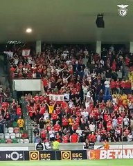 Benfica na Madeira ⚽