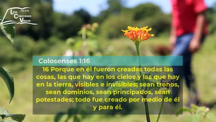 Cristo es el poder del padre