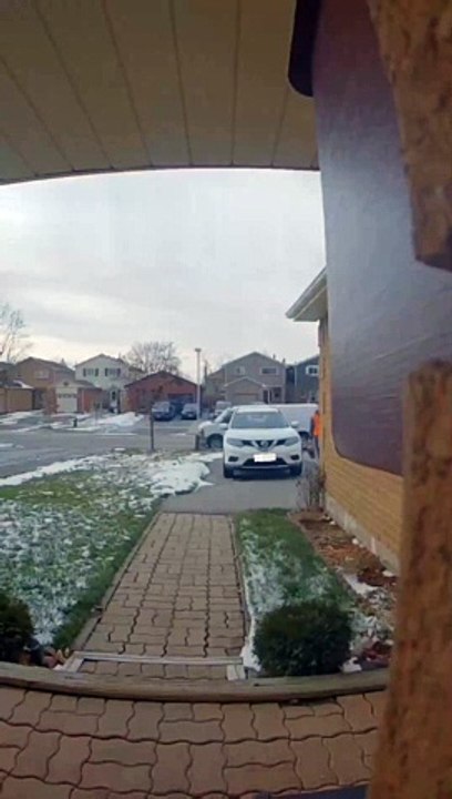 Doorbell Camera Catches Delivery Driver Throwing Package