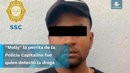 Caen sujetos que intentaron entrar al concierto de Grupo Firme con cocaína y más de 100 mil pesos