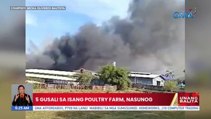 5 gusali sa isang poultry farm, nasunog | UB
