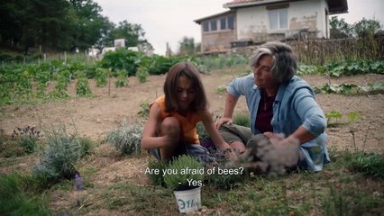 20,000 Species of Bees | movie | 2023 | Official Trailer