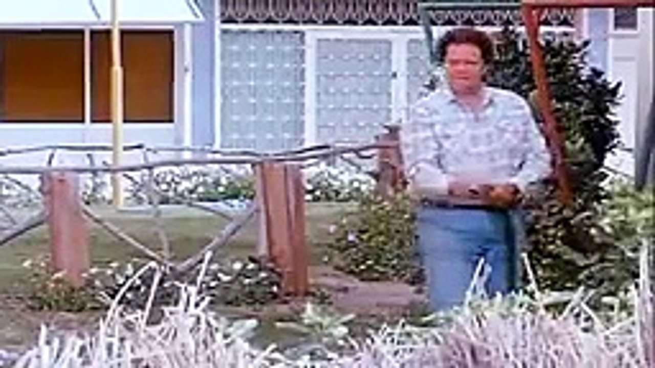 فيلم  الاقزام قادمون بطولة ليلي علوي للكبار فقط