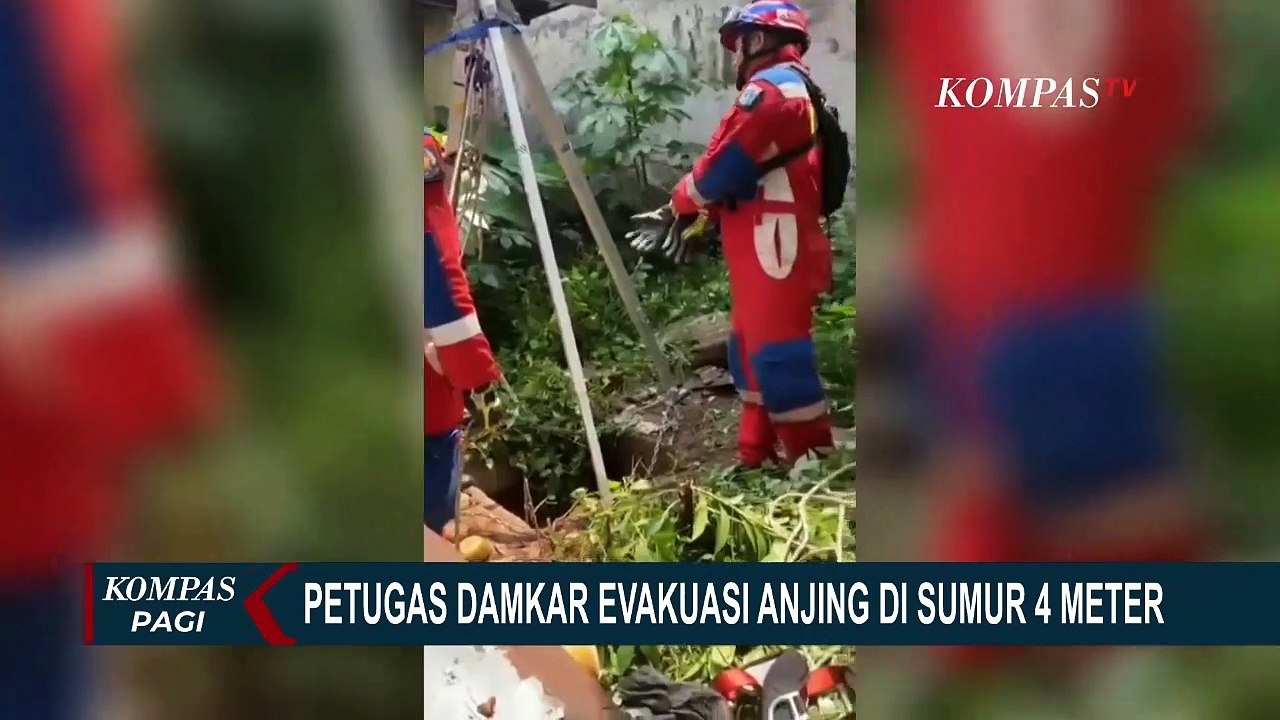 Petugas Damkar Berhasil Evakuasi Anjing Peliharaan yang Terjebak di Sumur Selama 2 Hari