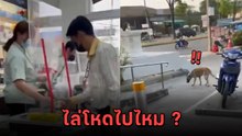 สะเทือนใจ ! พนักงานร้านสะดวกซื้อดัง สาดน้ำร้อนใส่หมา คนรักสัตว์เดือด !!