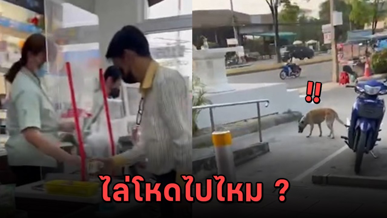 สะเทือนใจ ! พนักงานร้านสะดวกซื้อดัง สาดน้ำร้อนใส่หมา คนรักสัตว์เดือด !!