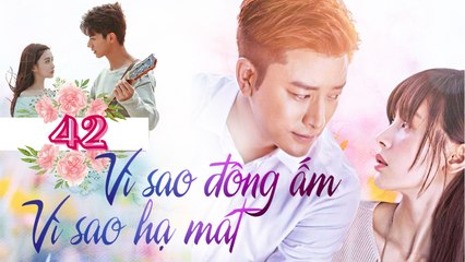 VÌ SAO ĐÔNG ẤM VÌ SAO HẠ MÁT| TẬP 42| Phim Ngôn Tình Lãng Mạn Trung Quốc 2023