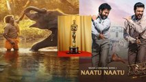 Oscars 2023: भारत ने मचाया धमाल, भारत की The Elephant Whisperers, Naatu Naatu ने भी जीता अवॉर्ड