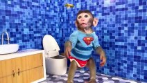 Monkey-Baby-Bon-Bon-oes-to-the-toilet-an_3