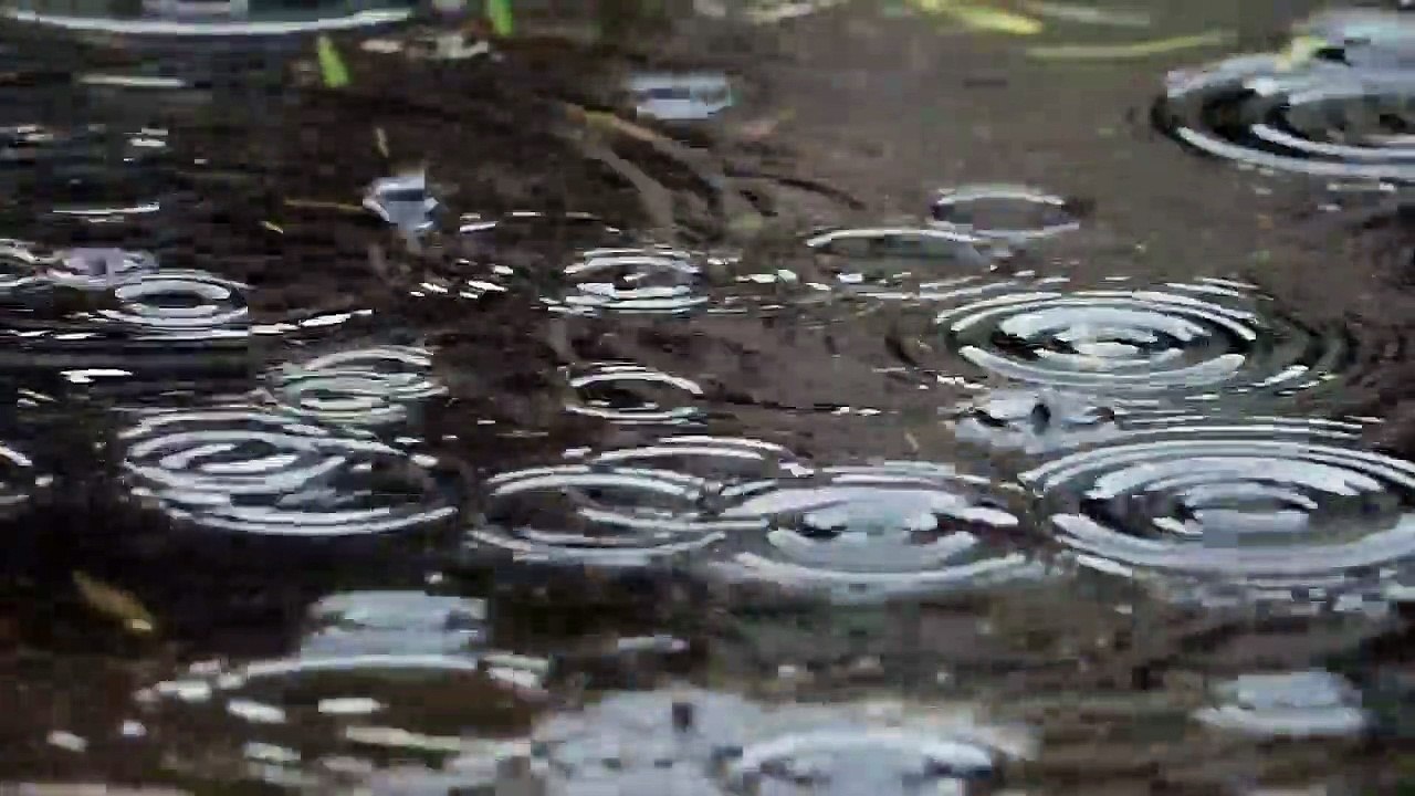 Rain relaxing videos