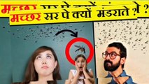 मच्छर हमारे सर पर क्यों मंडराते हैं / do you know why hover over our heads  / Why Mosquitoes Hover Upon Head /#video #viralvideo #mosquito