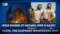 Headlines: Oscars 2023: India Wins With RRR & The Elephant Whisperers