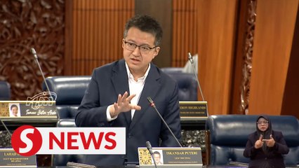 Govt willing to review NAP 2020, says Liew