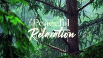 Relaxing Music & Rain Sounds - Beautiful Piano Music, Sleeping , Healing Music, Peaceful Relaxation