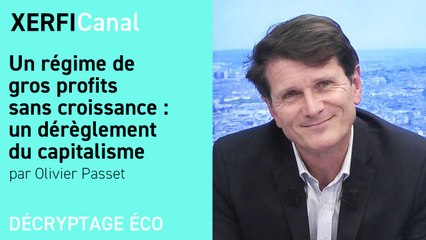 Un régime de gros profits sans croissance : un dérèglement du capitalisme [Olivier Passet]