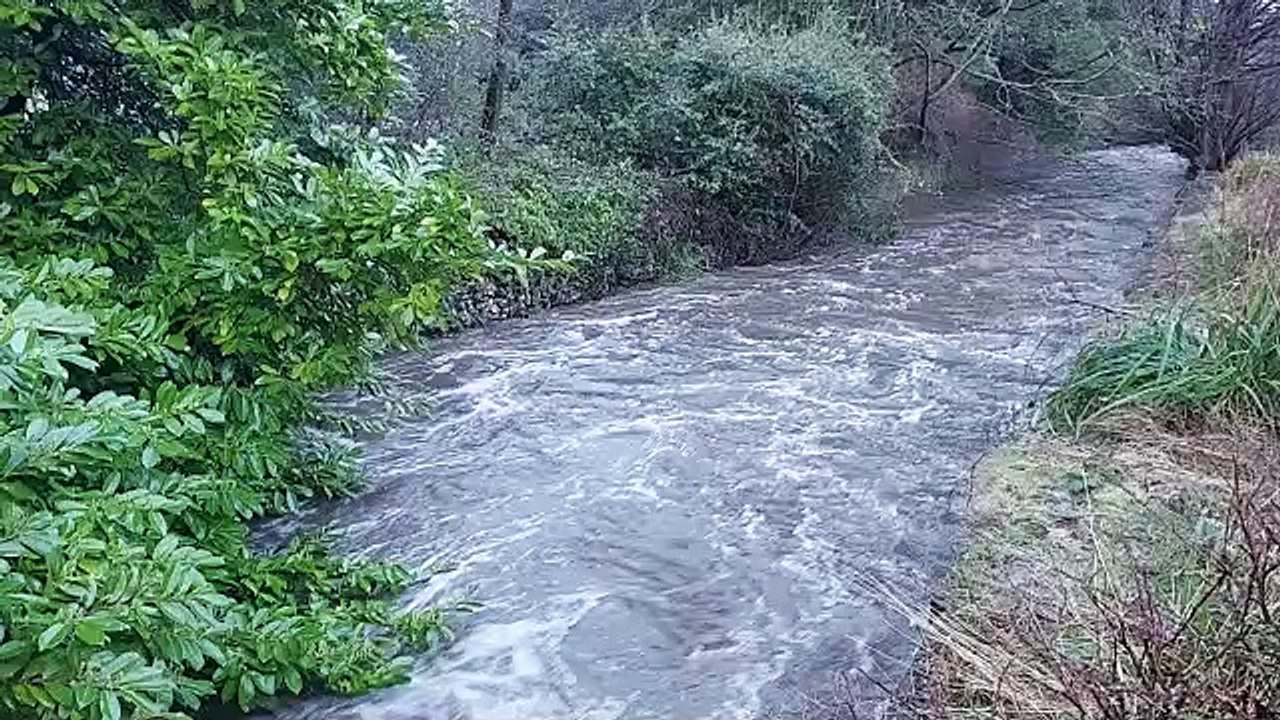 River in Millhouses Park in Sheffield running rapidly during snow melt