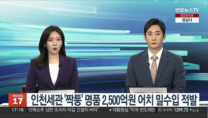 인천세관 '짝퉁' 명품 2천500억원 어치 밀수입 적발